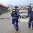 Personal de la Armada y SERNAPESCA realizan rescate a lobo marino en Ancud
