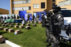Operativo interagencial permite incautar 1.1 toneladas de marihuana tipo creepy