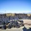 Armada de Chile realizó limpieza de playas en Punta Arenas