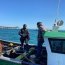 OPV Piloto Pardo realizó fiscalización marítima en Constitución