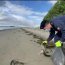  45 kilos de basura fueron retirados en operativo de limpieza en la playa Pangal de Maullín  