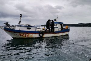 Más de 870 kilos de cholga fueron incautados en Chonchi Más de 870 kilos de cholga fueron incautados en Chonchi
