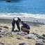 Personal del Museo Marítimo Nacional realizó limpieza en Playa San Mateo de Valparaíso