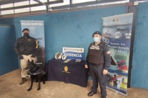 En patrullajes preventivos canes de la Armada detectan 2 mil dosis de marihuana