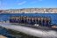 Submarino SS-22 Carrera cumplió con éxito su participación en el programa DESI de Estados Unidos