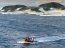 Armada efectuará mantención y renovación de señales marítimas en Territorio Chileno Antártico