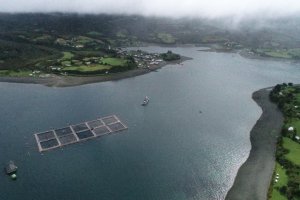 Médicos especialistas de la Reserva Naval se sumaron a ronda del buque “Cirujano Videla” en Quemchi y Quinchao Médicos especialistas de la Reserva Naval se sumaron a ronda del buque “Cirujano Videla” en Quemchi y Quinchao