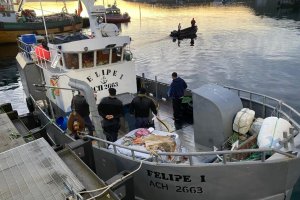 Policía Marítima incautó 100 kilos de raya volantín Policía Marítima incautó 100 kilos de raya volantín
