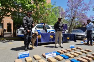 Policía Marítima, PDI y Aduanas incautan más de 160 kilos de droga escondida en contenedores con plátanos Policía Marítima, PDI y Aduanas incautan más de 160 kilos de droga escondida en contenedores con plátanos