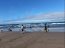 Autoridad Marítima de Coquimbo decomisa 1.101 kilos de Machas
