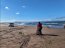 Autoridad Marítima de Coquimbo decomisa 1.101 kilos de Machas