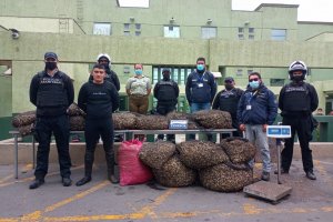 Autoridad Marítima de Coquimbo decomisa 1.101 kilos de Machas