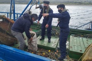 Autoridad Marítima y Sernapesca realizaron fiscalización en Bahía Mansa