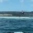 Helicóptero Naval y Autoridad Marítima rescataron a 2 personas en Ritoque