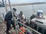 Autoridad Marítima de Talcahuano rescató a kayakistas en la bahía de Concepción