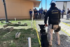 Personal de Seguridad Aeroportuaria realizó visita profesional a la Gobernación Marítima de Punta Arenas