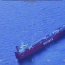 Autoridad Marítima de Punta Arenas coordinó despliegue ante amago de incendio en ferry en el sector de Canal Messier