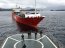 Autoridad Marítima de Punta Arenas coordinó despliegue ante amago de incendio en ferry en el sector de Canal Messier