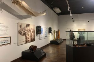 Museo Marítimo Nacional presenta nueva exposición Museo Marítimo Nacional presenta nueva exposición