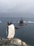 ATF-67 “Lautaro”:tras 31 años de servicio a Magallanes y la Antártica Chilena da termino a su singladura.