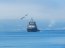 Remolcador ATF-65 “Janequeo” arribó a la Base Naval Talcahuano para incorporarse al COMANFITRAN
