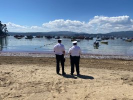 Capitanía de Puerto de Lirquén constató un nuevo varamiento de productos marinos Capitanía de Puerto de Lirquén constató un nuevo varamiento de productos marinos