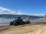 Capitanía de Puerto de Lirquén constató un nuevo varamiento de productos marinos