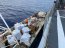 OPV Comandante Toro efectuó Operación de Fiscalización Pesquera Oceánica en Parque Marino “Motu Motiro Hiva”