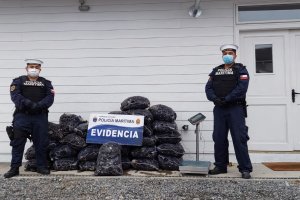 Armada incautó cerca de una tonelada de recursos del mar Armada incautó cerca de una tonelada de recursos del mar
