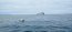 SHOA y dotación de la LSM “Elicura” instala primera boya de oleaje TRIAXYS en el Estrecho de Magallanes