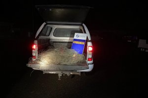 Policía Marítima de Puerto Varas sorprendió a pescadores ilegales en Lago Llanquihue Policía Marítima de Puerto Varas sorprendió a pescadores ilegales en Lago Llanquihue