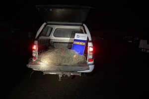 Policía Marítima de Puerto Varas sorprendió a pescadores ilegales en Lago Llanquihue