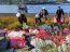 Retiran cinco toneladas de basura en tercera campaña de limpieza de Plan Tenglo