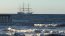 Majestuoso desfile naval dará inicio a Velas Latinoamérica 2022 en Punta Arenas