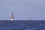 Armada de Chile recibe a unidades participantes de Velas Latinoamérica 2022 en Punta Arenas