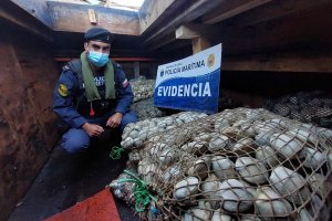 En patrullajes preventivos Armada y SERNAPESCA detectan pesca ilegal en naves provenientes de Calbuco En patrullajes preventivos Armada y SERNAPESCA detectan pesca ilegal en naves provenientes de Calbuco