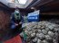En patrullajes preventivos Armada y SERNAPESCA detectan pesca ilegal en naves provenientes de Calbuco