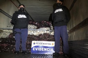 Autoridad Marítima de Ancud realizó importante incautación de recurso almeja Autoridad Marítima de Ancud realizó importante incautación de recurso almeja