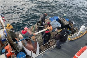 Armada incautó ocho toneladas de recurso almeja en embarcación proveniente de Calbuco Armada incautó ocho toneladas de recurso almeja en embarcación proveniente de Calbuco