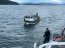 Armada incautó ocho toneladas de recurso almeja en embarcación proveniente de Calbuco