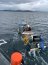 Armada incautó ocho toneladas de recurso almeja en embarcación proveniente de Calbuco