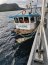 Armada incautó ocho toneladas de recurso almeja en embarcación proveniente de Calbuco