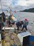 Armada incautó ocho toneladas de recurso almeja en embarcación proveniente de Calbuco