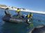 Gobernación Marítima de la Antártica Chilena realiza Programa de Observación del Ambiente Litoral (POAL)