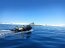 Gobernación Marítima de la Antártica Chilena realiza Programa de Observación del Ambiente Litoral (POAL)