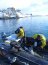Gobernación Marítima de la Antártica Chilena realiza Programa de Observación del Ambiente Litoral (POAL)