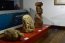 Rapa Nui es protagonista en nueva exposición del Museo Marítimo Nacional