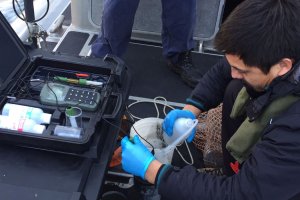 Autoridad Marítima de Punta Arenas realizó toma de muestras en la bahía como parte del Programa de Observación del Ambiente Litoral Autoridad Marítima de Punta Arenas realizó toma de muestras en la bahía como parte del Programa de Observación del Ambiente Litoral