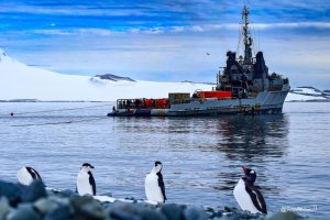 Con más de 43 mil kilómetros navegados Armada de Chile concluye Campaña Antártica 2021-2022