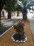 Academia Politécnica Naval se suma al “Desafío de Jardines Sustentables”